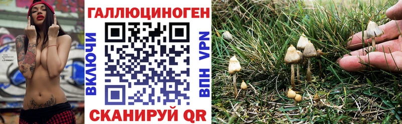 купить наркотики цена  ОМГ ОМГ ССЫЛКА  Галлюциногенные грибы GOLDEN TEACHER  Елизаветинская 