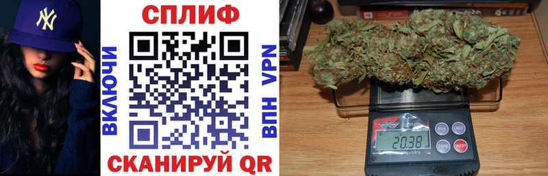 ОМГ ОМГ ссылка  Елизаветинская  Каннабис Amnesia 